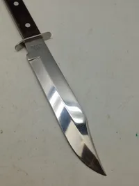 Bowie dolk