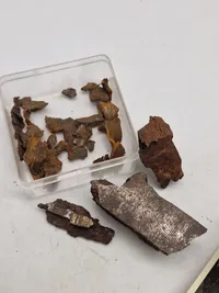 Original billedserie - Bomber over København samt originale granat stumper fra bombardementerne
