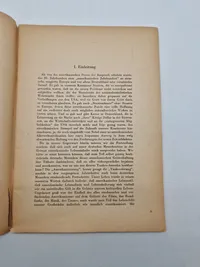 Originalt tysk propaganda hæfte - AMERIKANISMUS eine Weltgefahr