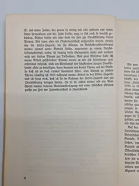 Originalt hæfte - Jüdische und völkische Literaturwissenschaft