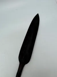 Afrikansk spyd
