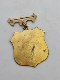 Original medalje - loge???