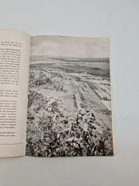 Originalt eks af Germanske Budstikke