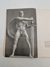 Originalt eks af Germanske Budstikke - 1943