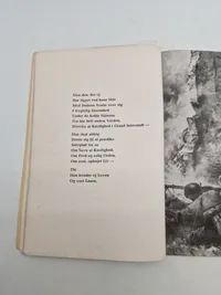 Originalt eks af Germanske Budstikke - 1943