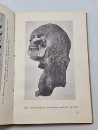 Rustninger og gamle vaaben