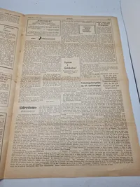 Originale eks af avisen “Revision” som var kendt for at hjælpe tidligere frikorps soldater mm