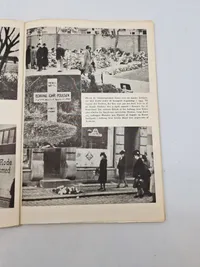Danmarks kamp