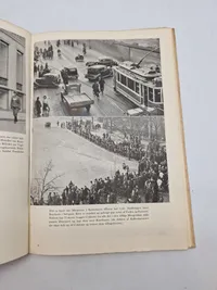 Danmarks kamp