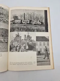 Danmarks kamp