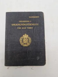 Vejledning i sprængingstjeneste for alle våben
