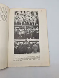 Danmarks kamp