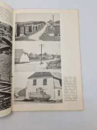 Danmarks kamp