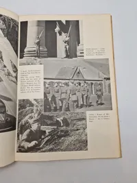 Danmarks kamp
