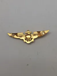 Samling diverse pins og nåle