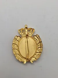 Samling diverse pins og nåle