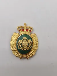 Samling diverse pins og nåle