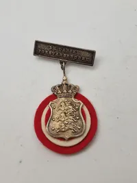 Samling diverse pins og nåle