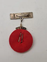 Samling diverse pins og nåle