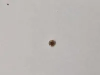 Smuk ægte champagne diamant 0.11 Carat