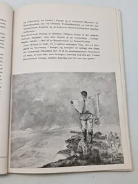 Originalt eks af Germanske budstikke