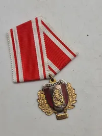 Original medalje - Jyske træn