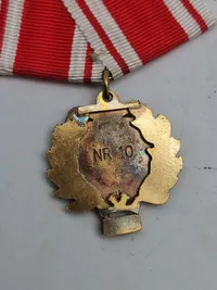 Original medalje - Jyske træn