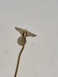 Original tysk SA nål