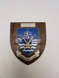 Militært vægskjold