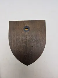 Militært vægskjold