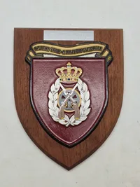 Militært vægskjold