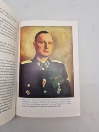 Under hagekors og dannebrog