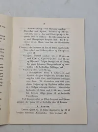 Beskrivelse af bagladeriffel model 1867