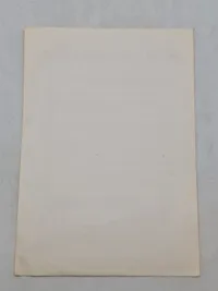 Original DNSAP flyer -Tidlig efterkrigs Nazistparti