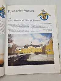 Det dansk forsvar - Flyvevåbnet