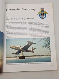 Det dansk forsvar - Flyvevåbnet
