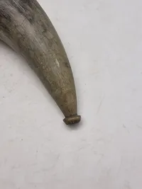 Originale krudthorn