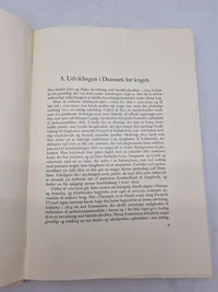 Tøjhusmuseets bog om 1864 Våben og uniformer