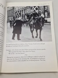 Darkness over Denmark - The Danish resistance and the rescue of the jews