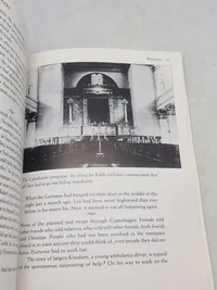 Darkness over Denmark - The Danish resistance and the rescue of the jews