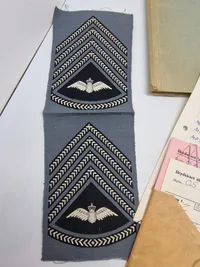 Samling militaria