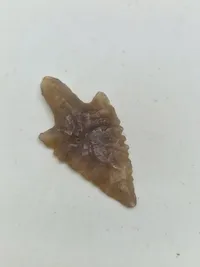 To originale pilespidser - dansk bondestenalder