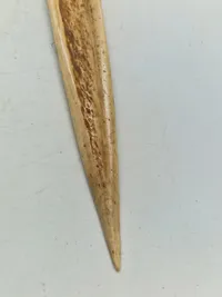Original Cassowary bone dagger fra Papua New Guinea
