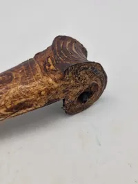 Original Cassowary bone dagger fra Papua New Guinea