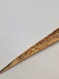 Original Cassowary bone dagger fra Papua New Guinea