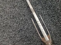 19TH CENTURY INDIAN TULWAR SWORD