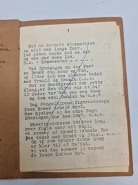Originalt dansk DNSAP hæfte
