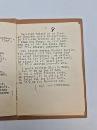 Originalt dansk DNSAP hæfte