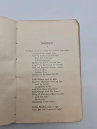 Originalt eks. af DNSAP’s den brune sangbog