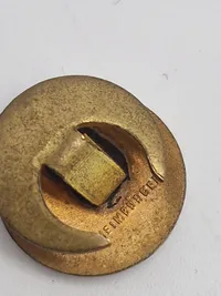 Original dansk DNSAP revérnål